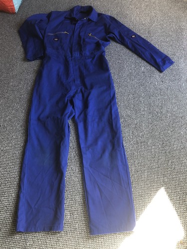 Dickies mens riyal blue - riyal, boiler
