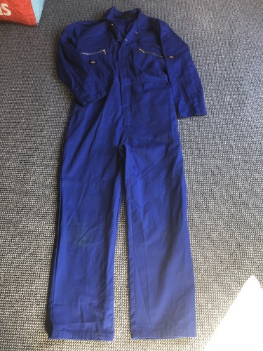 Dickies mens royal - dickies, blue